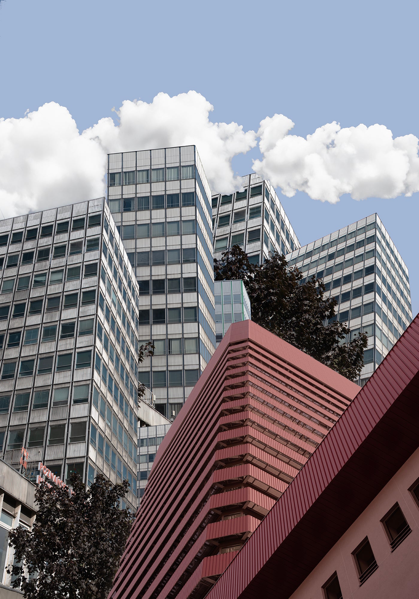 ALFA ALTUM / Poznań