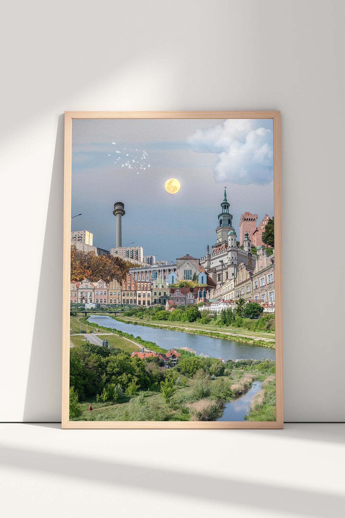 Poznań rzeczny, plakat
