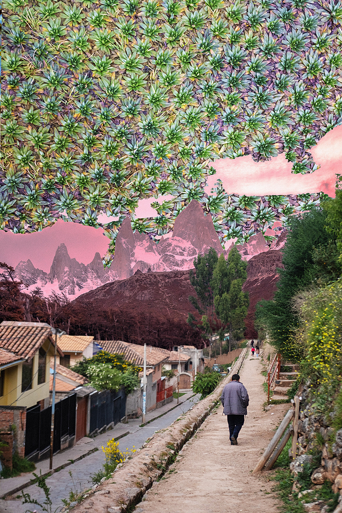 "Fitz Roy flower power" limited author's work Mateusz Sobierajski - unique photographic collage, surreal image