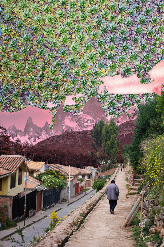 "Fitz Roy flower power" limited author's work Mateusz Sobierajski - unique photographic collage, surreal image