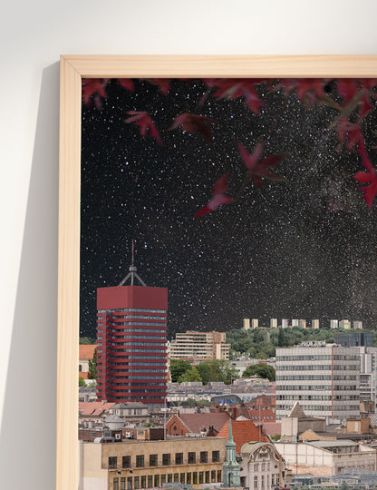 Gwiaździsty dzień na fyrtlu / Poznań