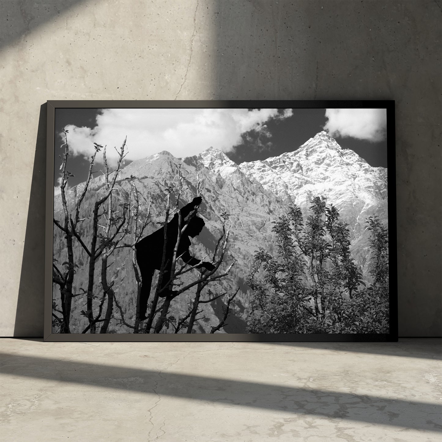 Indeterminacy 01 / limited edition
